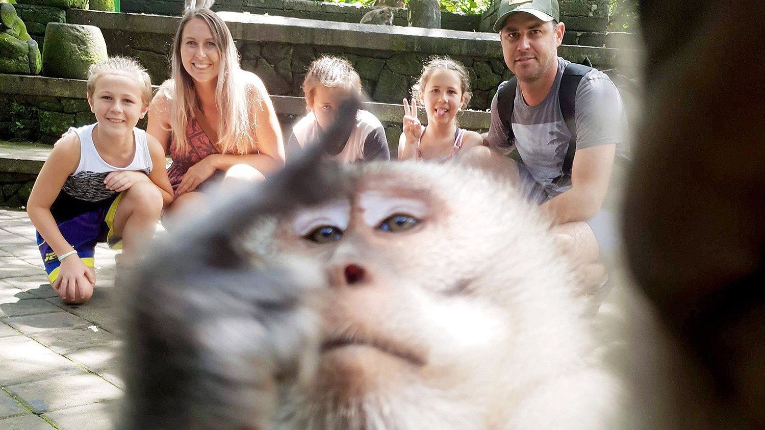 Зухвала мавпа зняла селфі із середнім пальцем (фото)
