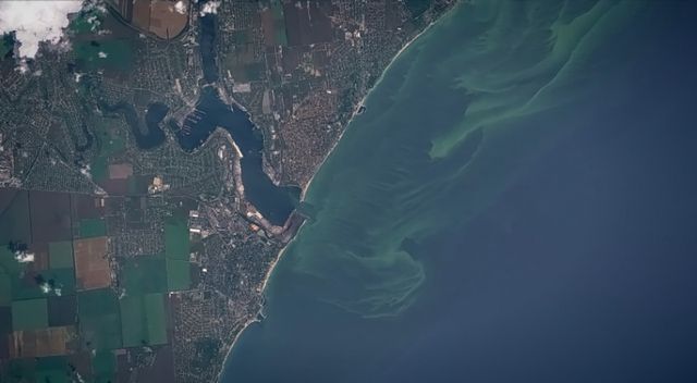 Зелене море в Одесі знову змінило колір: фото з космосу - фото 334454
