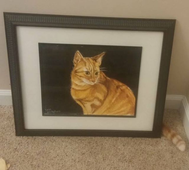 Геніальне маскування: фото домашніх улюбленців, які змусять усміхатись - фото 334664