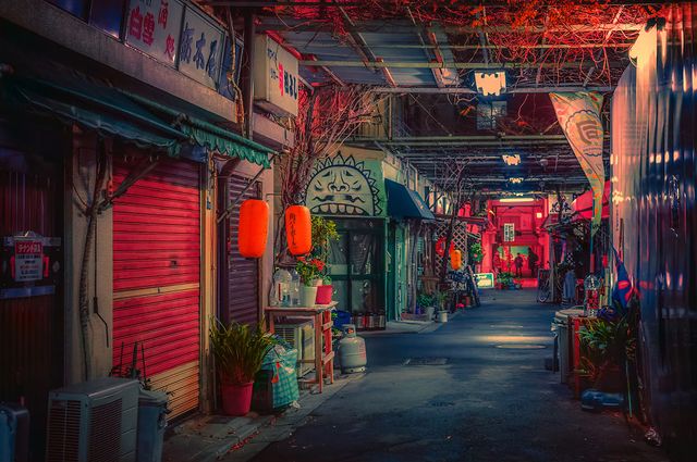 Фотограф показав, як його змінила Японія: захопливі кадри - фото 334935