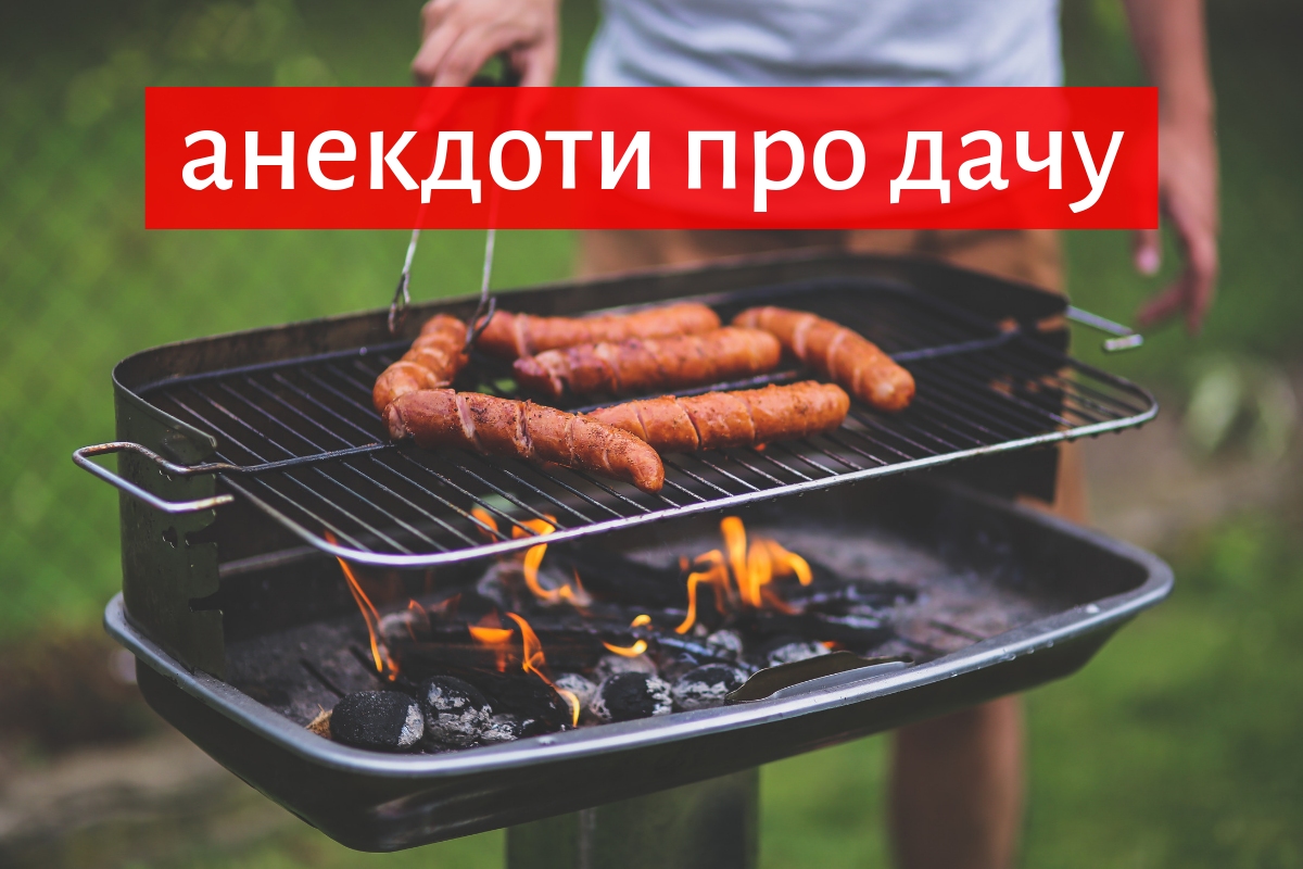 кумедні історії про дачу - фото 1