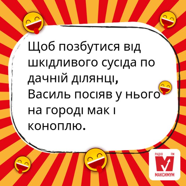 Анекдоти про дачу: веселі жарти та кумедні історії про заміський відпочинок - фото 335037