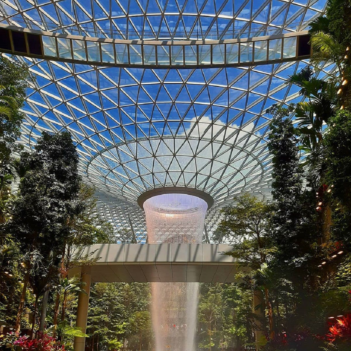 Варто побачити: відео з аеропорту в Сінгапурі захопило мережу