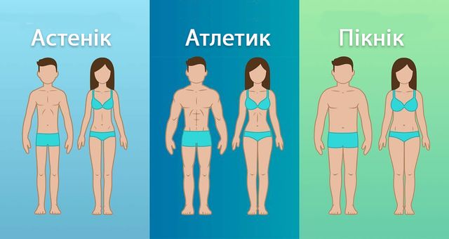 Типи статури - фото 335707