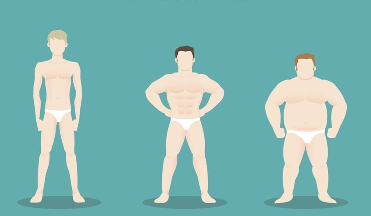 Простий лайфхак, як визначити тип своєї статури