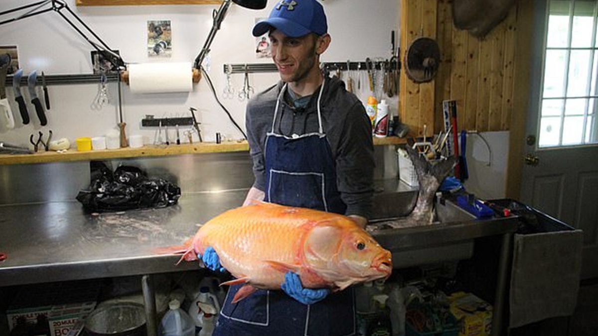 У США рибалка виловив гігантську рибу-мутанта: фотофакт