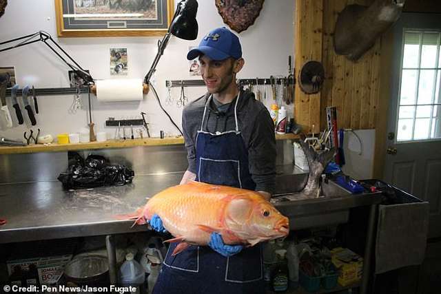 У США рибалка виловив гігантську рибу-мутанта: фотофакт - фото 335718
