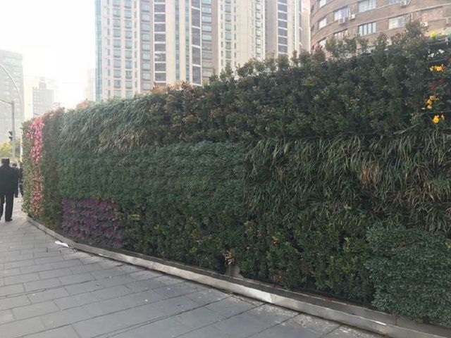 15 крутих фішок з різних країн, які хочеться впровадити в Україні просто зараз - фото 335734