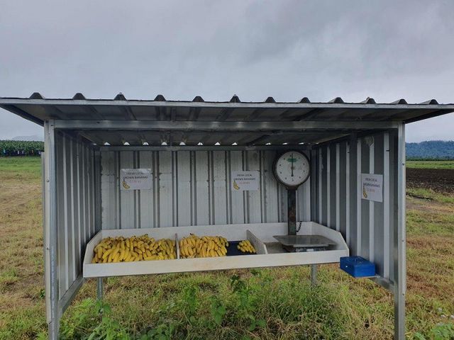 15 крутих фішок з різних країн, які хочеться впровадити в Україні просто зараз - фото 335739