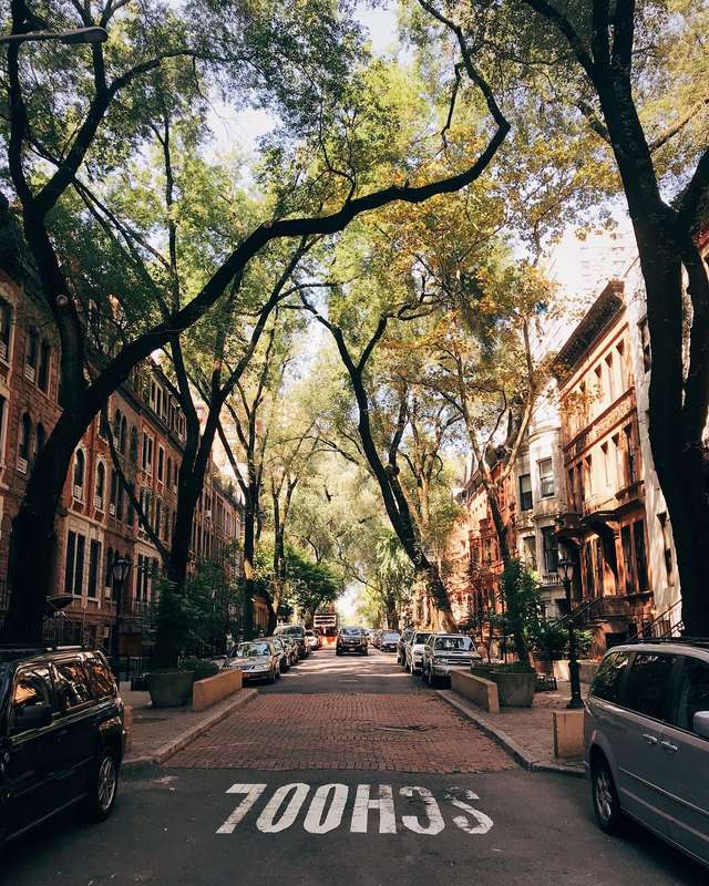 Життя у Нью-Йорку: вуличні фото міста, які захоплюють - фото 335769