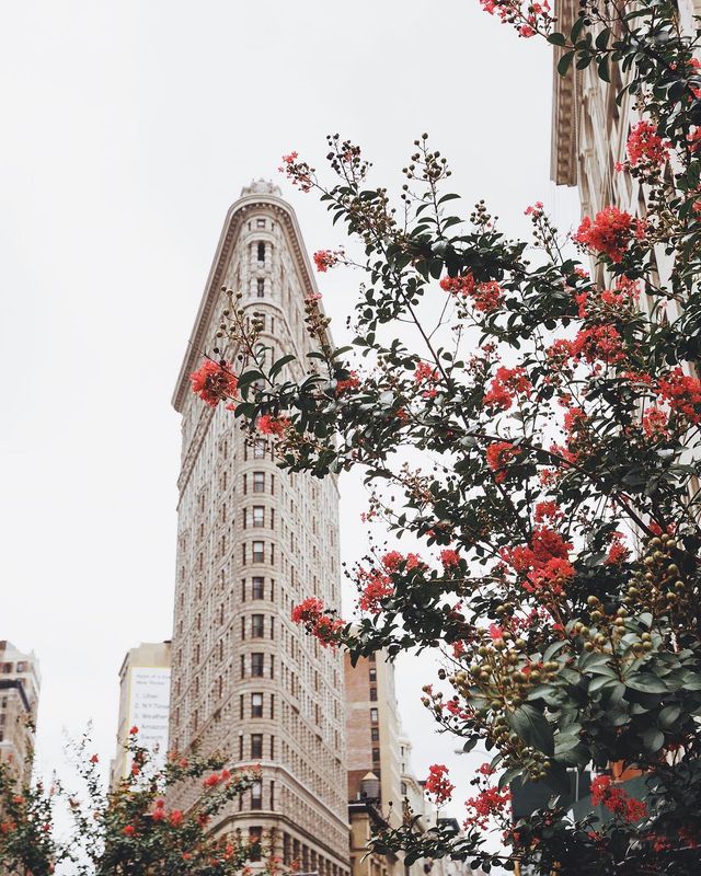 Життя у Нью-Йорку: вуличні фото міста, які захоплюють - фото 335771