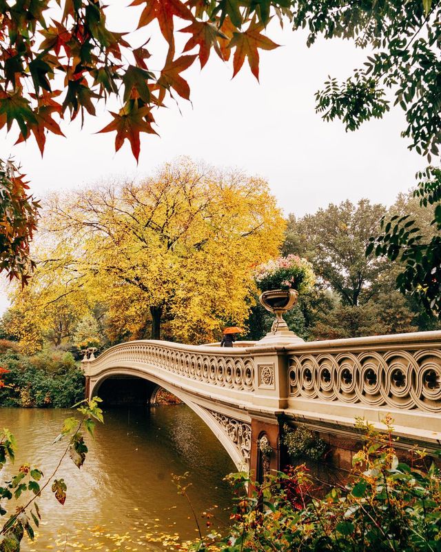 Життя у Нью-Йорку: вуличні фото міста, які захоплюють - фото 335772