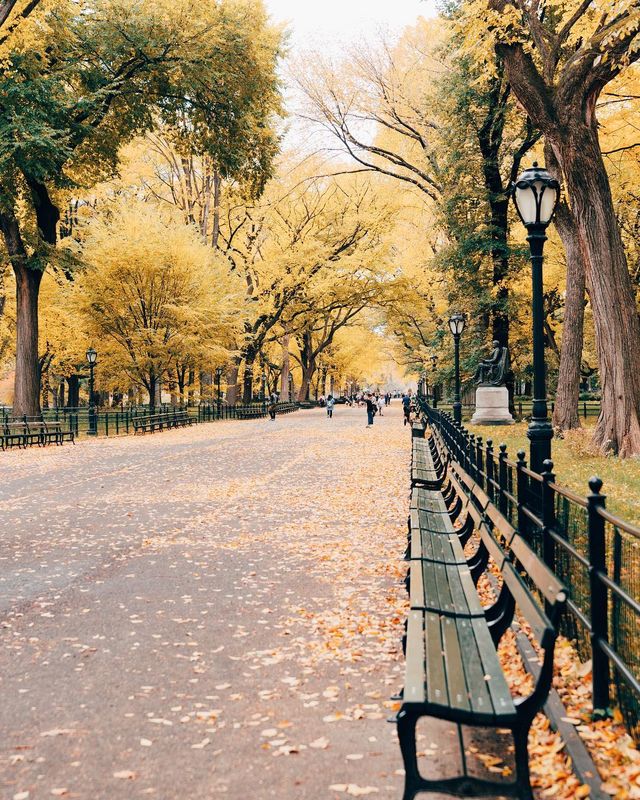 Життя у Нью-Йорку: вуличні фото міста, які захоплюють - фото 335773