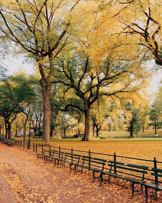 Життя у Нью-Йорку: вуличні фото міста, які захоплюють - фото 335778