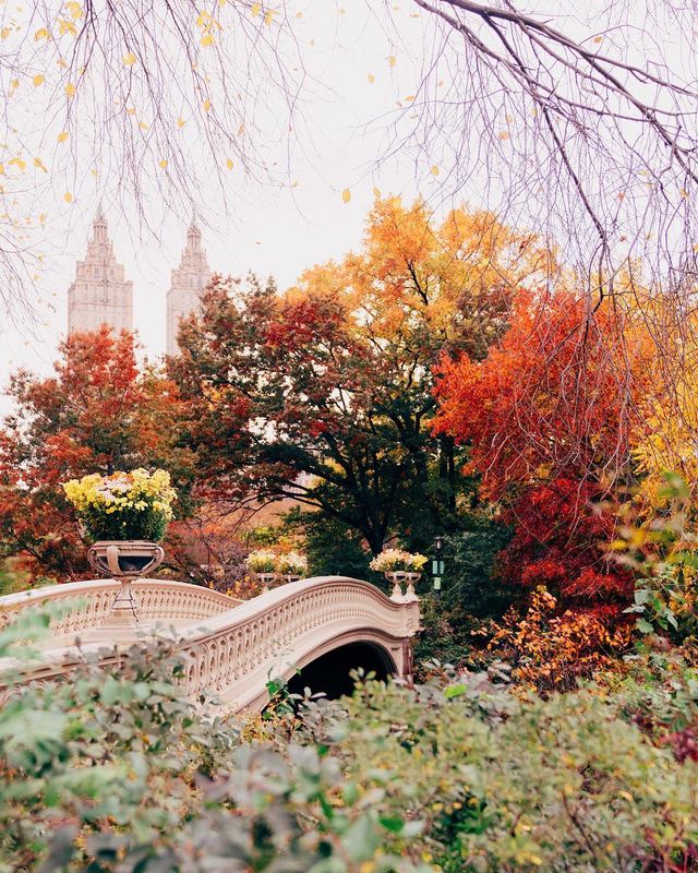 Життя у Нью-Йорку: вуличні фото міста, які захоплюють - фото 335779