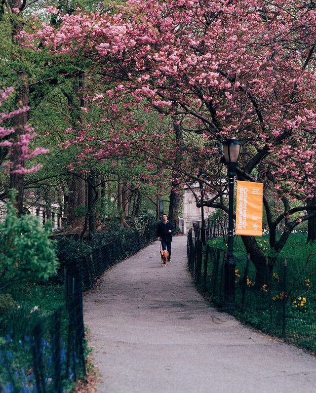 Життя у Нью-Йорку: вуличні фото міста, які захоплюють - фото 335781