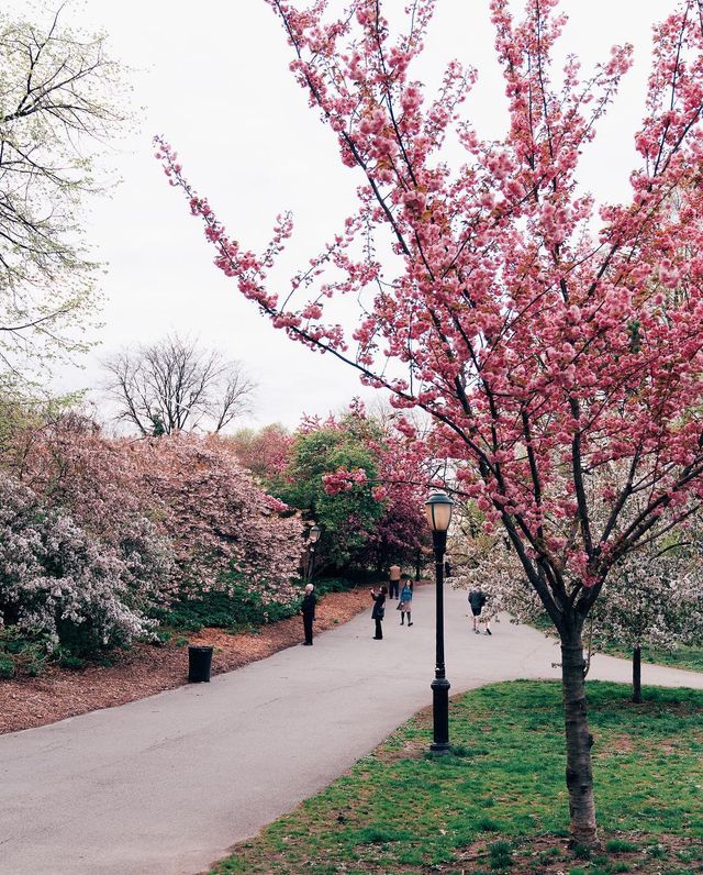 Життя у Нью-Йорку: вуличні фото міста, які захоплюють - фото 335783