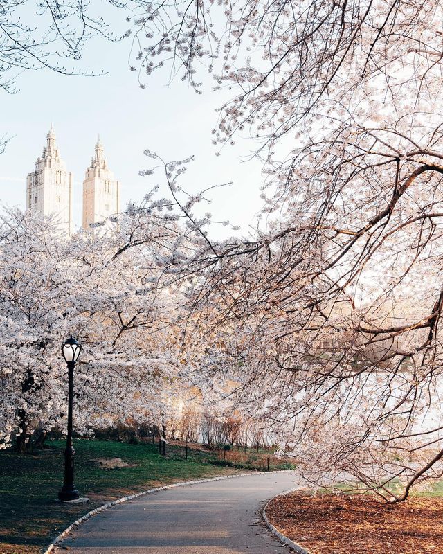 Життя у Нью-Йорку: вуличні фото міста, які захоплюють - фото 335786