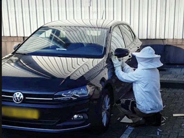 У Нідерландах бджоли захопили машину: фотофакт - фото 335906