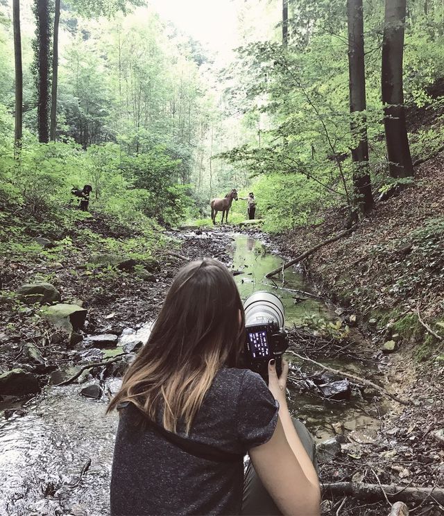 Як виглядає гібрид коня і зебри: вражаючі фото - фото 335927