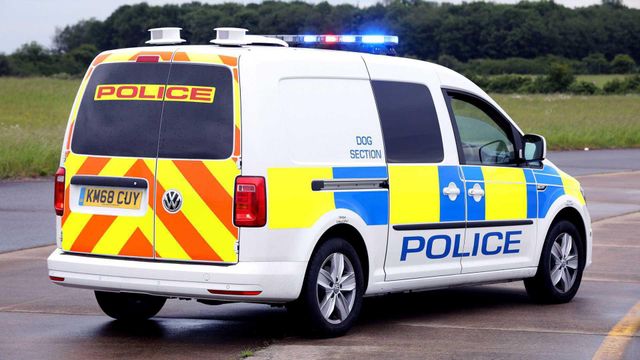 Volkswagen зробив фургон для поліцейських собак - фото 335975