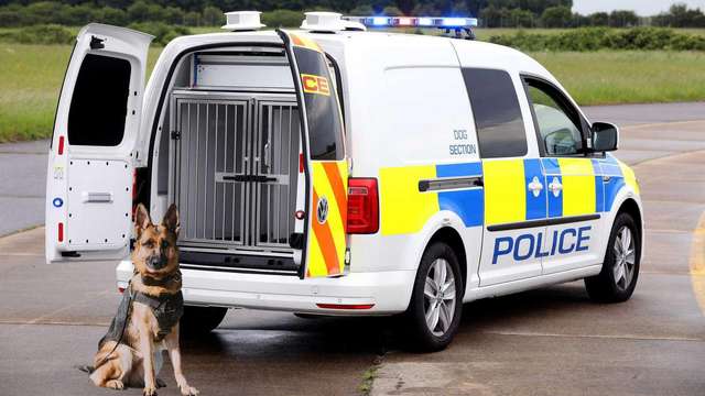 Volkswagen зробив фургон для поліцейських собак - фото 335977