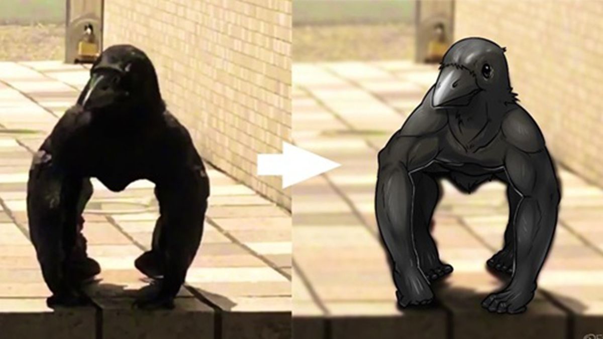 "М'язистий" ворон здивував мережу: відеофакт