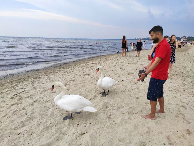 Вікенд у Гданську та Стокгольмі: як відпочити на морі та заплатити 3000 гривень штрафу - фото 336252