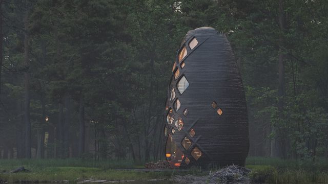 Земний аналог марсіанської хижі скоро здадуть в оренду - фото 336362