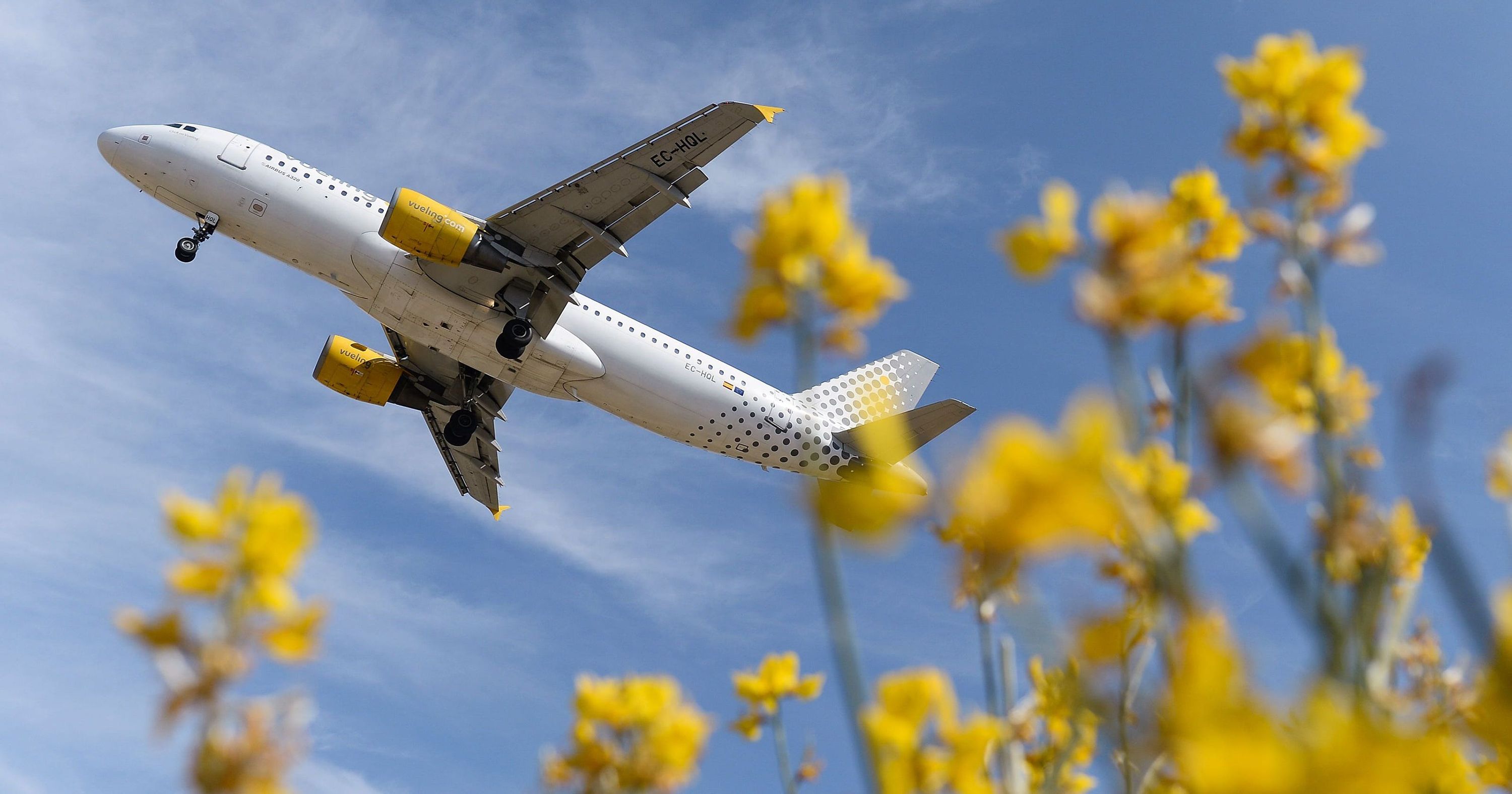 На паркінгах стоять відкликані літаки компанії - фото 1