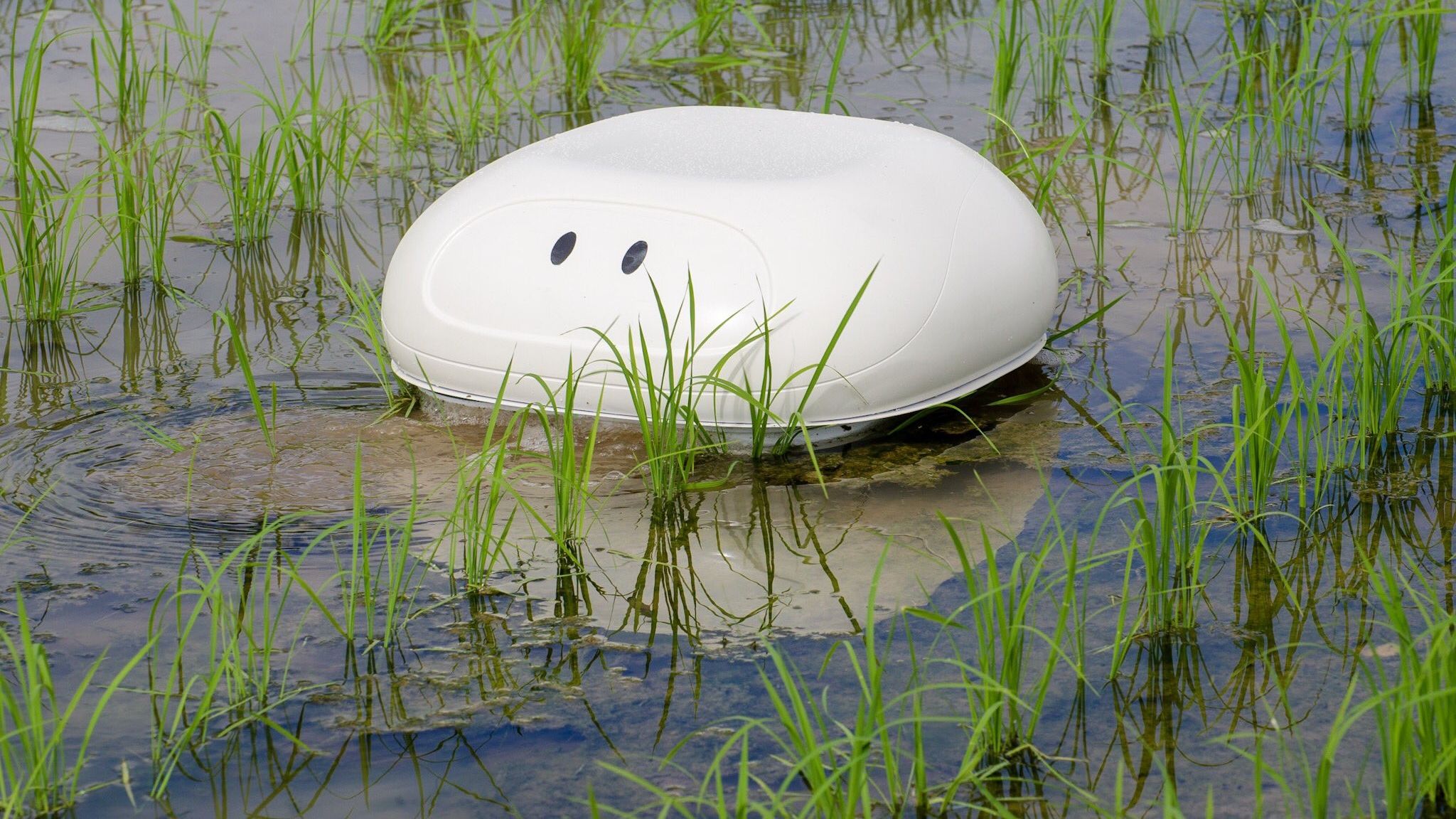 В Японії створили робота-качку, який допомагатиме фермерам