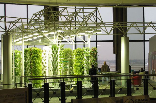 Вас вразить справжній город в аеропорту О'Хара - фото 336606