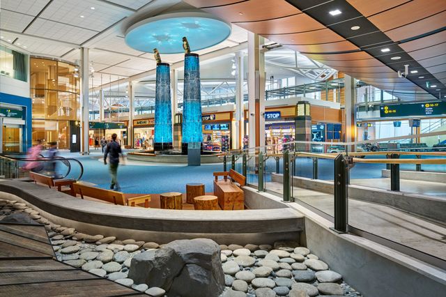 В аеропорту можна милуватися різними видами риб - фото 336609