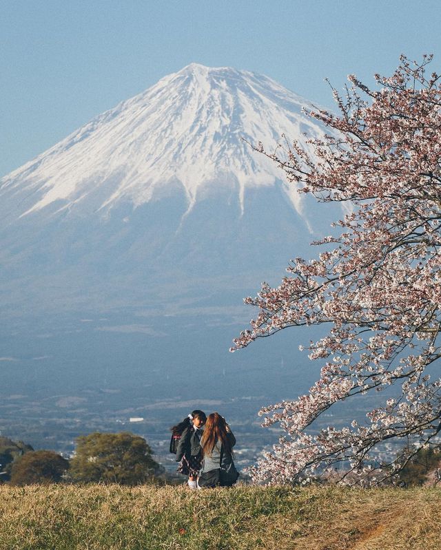 Життя в Японії: захопливі вуличні фото - фото 336735