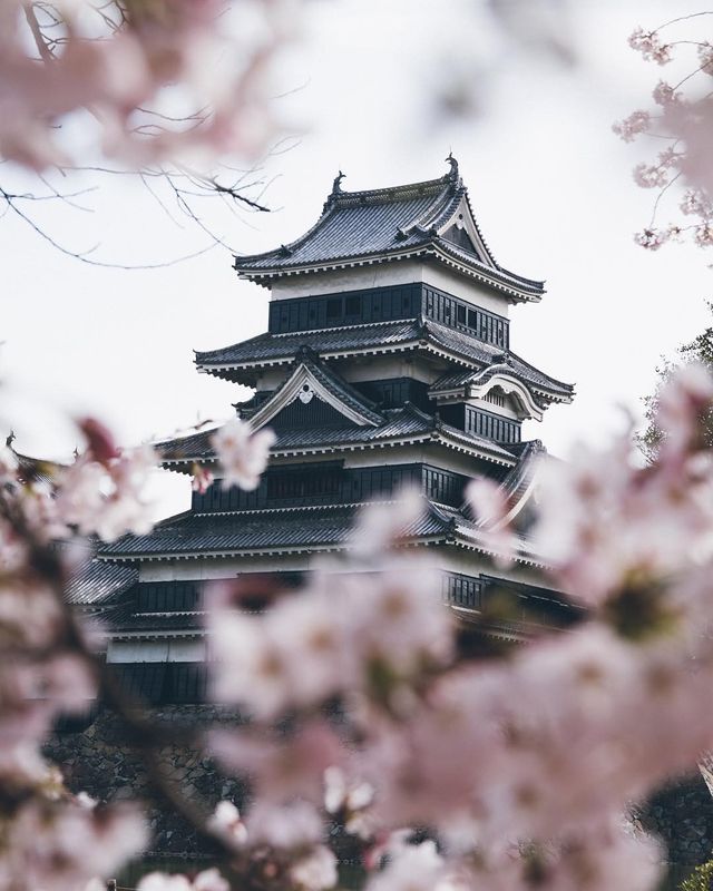Життя в Японії: захопливі вуличні фото - фото 336736