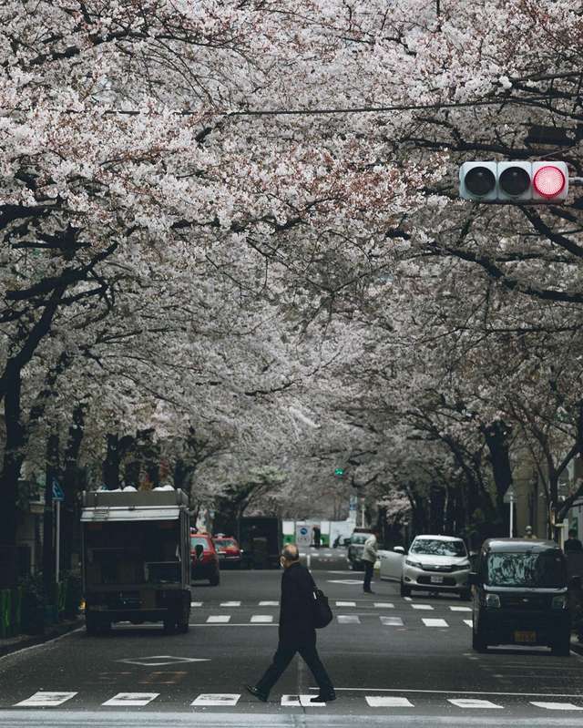 Життя в Японії: захопливі вуличні фото - фото 336743