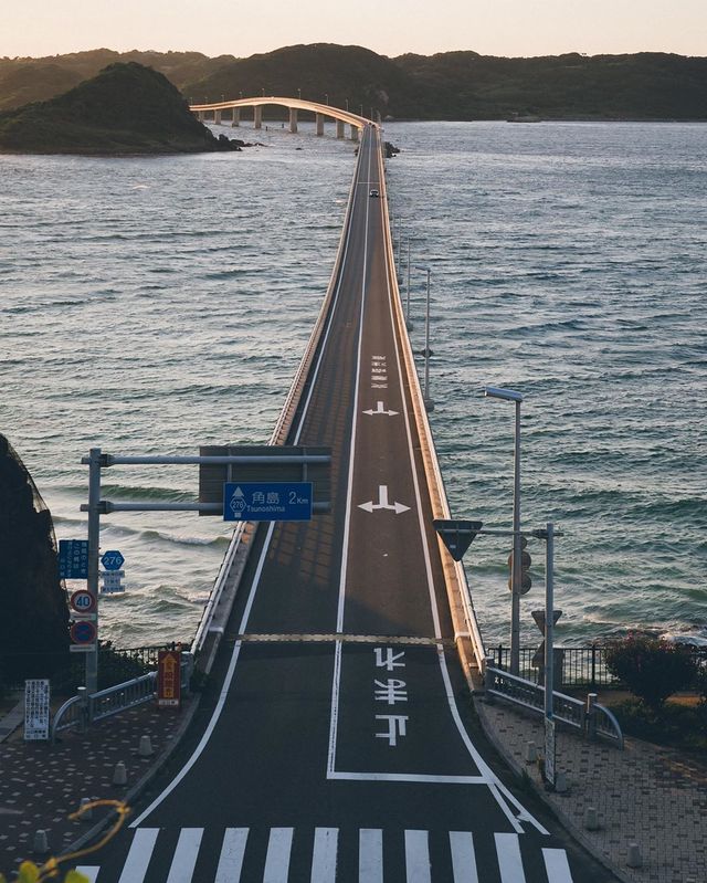 Життя в Японії: захопливі вуличні фото - фото 336744