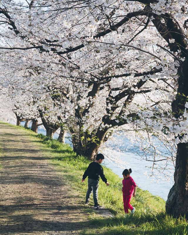 Життя в Японії: захопливі вуличні фото - фото 336745