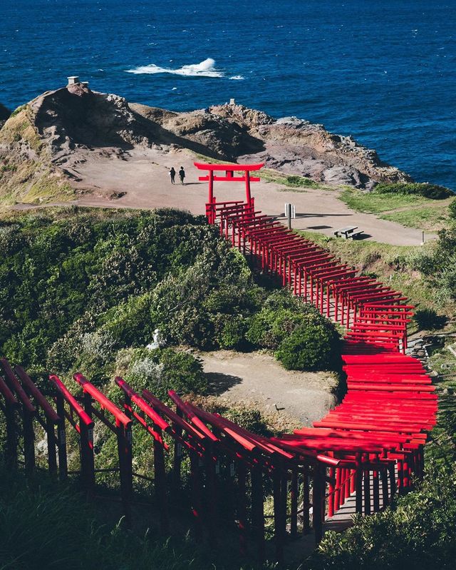 Життя в Японії: захопливі вуличні фото - фото 336747