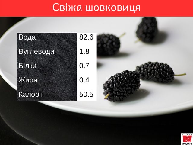 Шовковиця – користь і шкода: лікувальні властивості літньої ягоди - фото 337312
