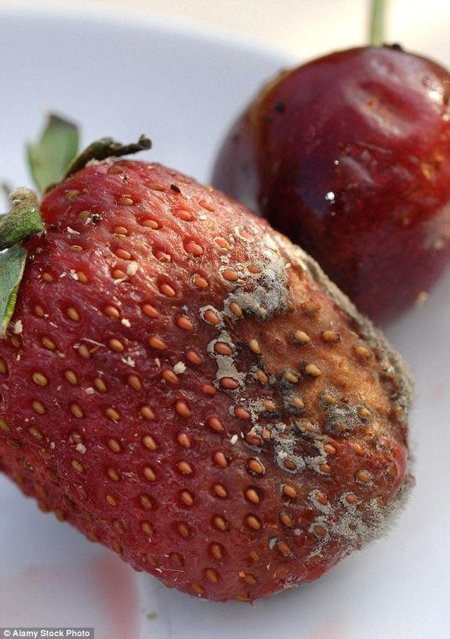 Як змінилися солодощі після двадцятирічного зберігання - фото 337386