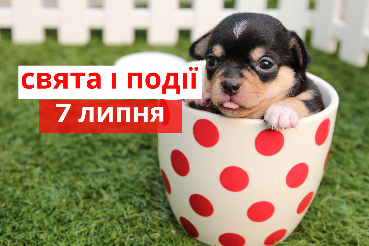 7 липня 2019 – яке сьогодні свято: традиції, заборони і прикмети