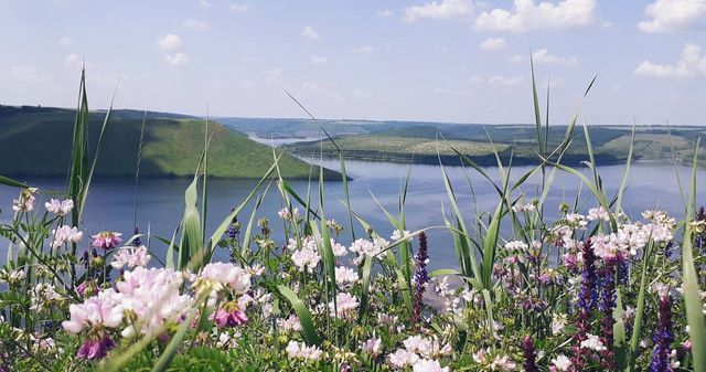 Відпочинок у Бакоті 2020: що подивитись, як доїхати, ціни на житло - фото 337602