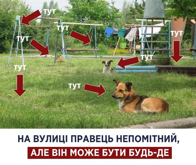 Правець у дітей та дорослих: симптоми, причини, лікування і профілактика - фото 337743