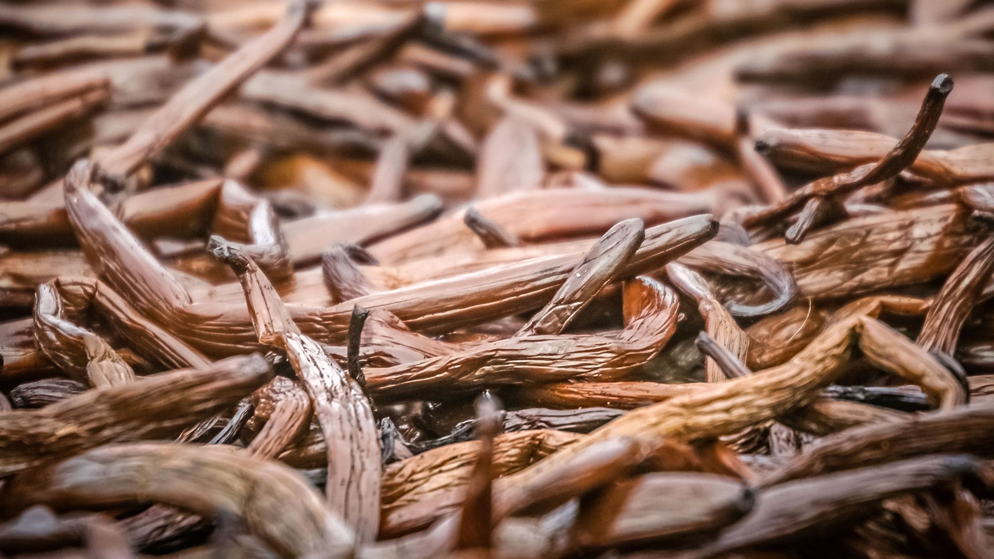 Дієтологи розповіли про запах, який знижує апетит