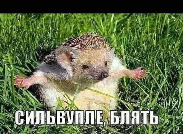 Дематюкація мови: реакція мережі на законпроект Богомолець про заборону матюків - фото 337958