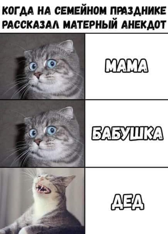 Дематюкація мови: реакція мережі на законпроект Богомолець про заборону матюків - фото 337960