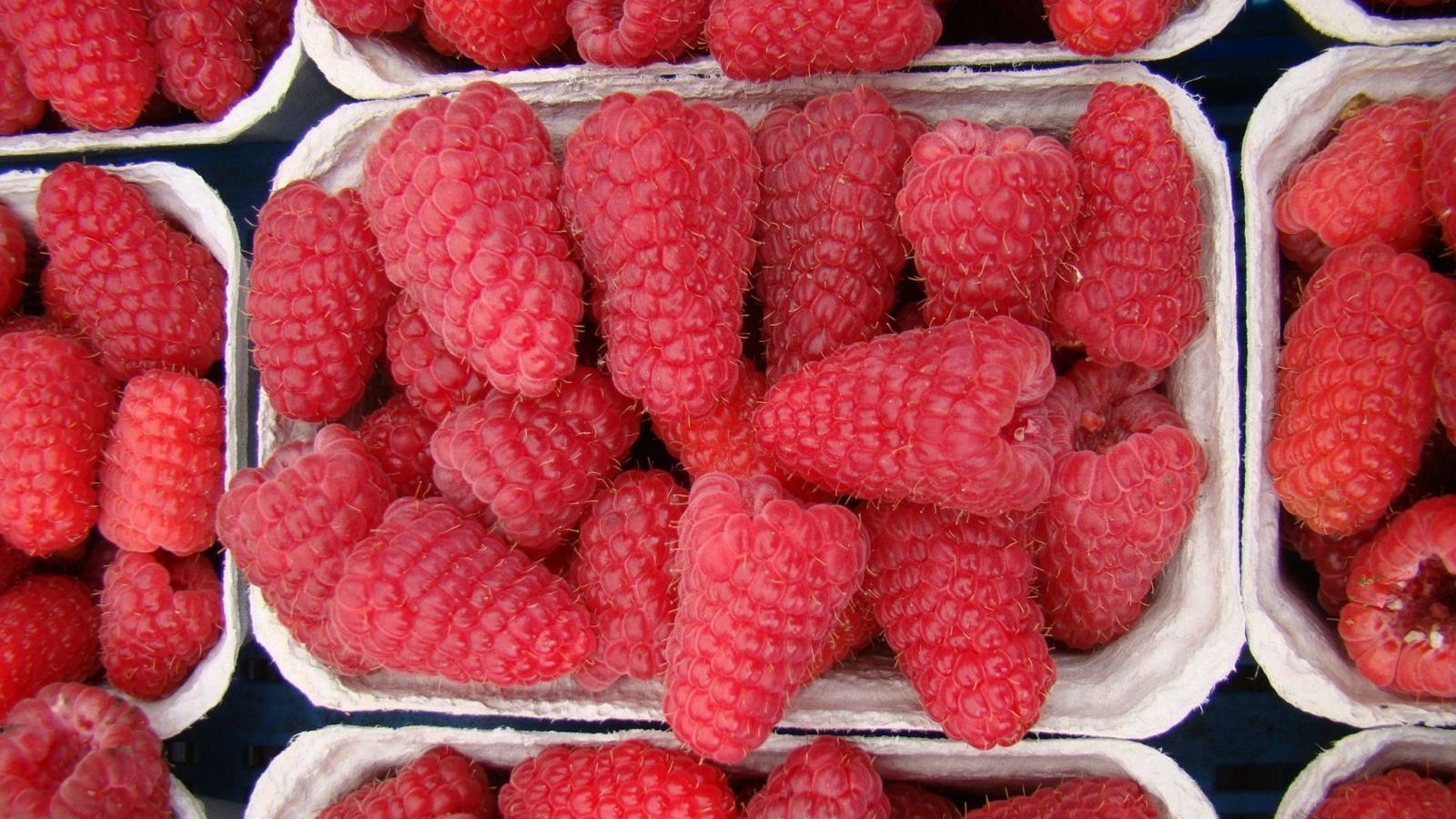 Як правильно їсти ягоди в літню спеку