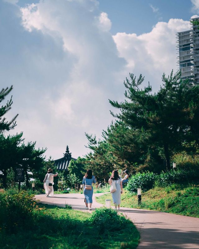 Американець змінив нестерпну роботу на життя в Сеулі: захопливі кадри - фото 338272