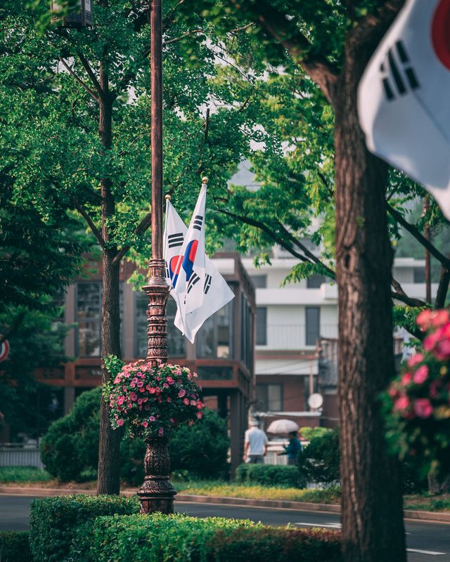 Американець змінив нестерпну роботу на життя в Сеулі: захопливі кадри - фото 338275